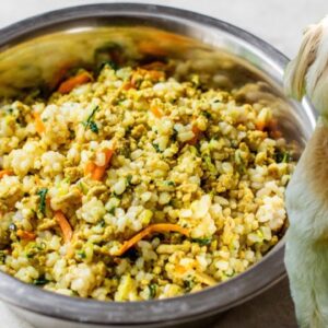 HOMEMADE DOG FOOD | healthy dog food recipe