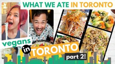 VEGAN FOOD TOUR IN TORONTO + I Met Someone Y'all Love! (Vegan Sushi, Vegan Eggs & More)