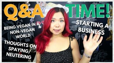 Answering Your QUESTIONS! Q&A: Veganism, Living Alone, Business, Personal & More!