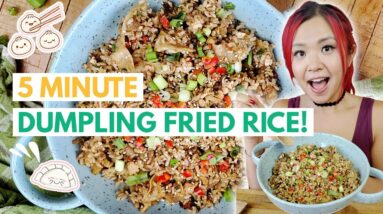 VEGAN DUMPLING FRIED RICE (VIRAL 5 MINUTE RECIPE)