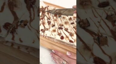 Delicious Chocolate Peanut Butter Protein Bark 🍫