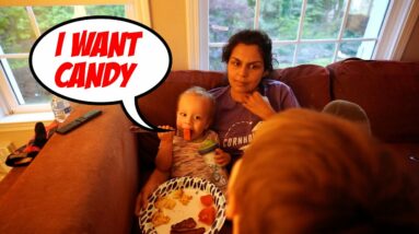 Healthy Family Meal Ideas... 1 and 3 Year Old