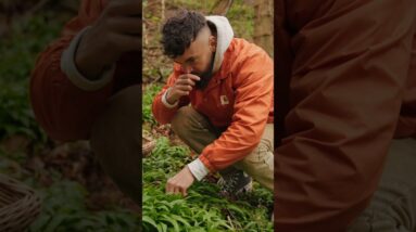 Secret Herb That May Help You In The Bedroom 💘👀 #shorts #foraging #cooking