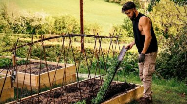 Escaping Covid Lockdown In The City To Homestead In The Countryside 👨‍🌾