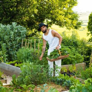 From City Boy To Homestead: My Secrets On How I Started Growing My Food