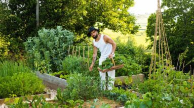 From City Boy To Homestead: My Secrets On How I Started Growing My Food