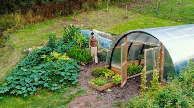 3rd Summer At My Homestead, The Journey