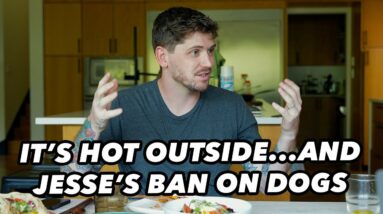 It’s HOT and Why Petting Dogs Is Good for Health!