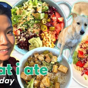 REALISTIC WHAT I ATE IN A DAY | My dogs, high protein meals, self care, living alone vlog (VEGAN)