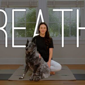 5 Minute Calming Breathwork