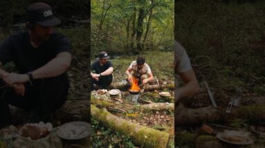 FIND & COOK MUSHROOMS 🍄 forage & cook up in Wales. #porcini #cooking #campfire #selfsufficient