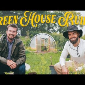 Build A Greenhouse For Under $100 | Self Sufficiency Hack