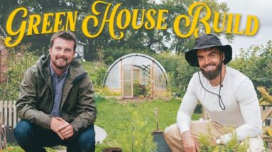 Build A Greenhouse For Under $100 | Self Sufficiency Hack