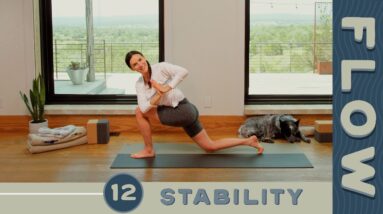 Flow - Day 12 - Stability