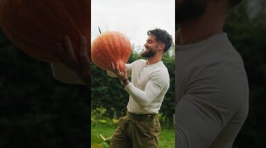 3 Years Ago My Life Changed, Join My Journey With Me 👨‍🌾 Gaz #homestead #food #selfsufficient