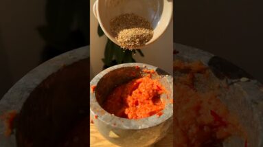 plant family meals full of nourishing fibers and proteins