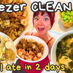 What I ate in a day (FREEZER CLEANOUT MEALS) as a VEGAN