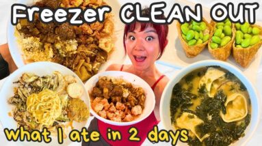 What I ate in a day (FREEZER CLEANOUT MEALS) as a VEGAN