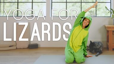 Yoga For Lizards