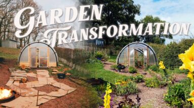 My Homestead Garden Got Destroyed | Extreme Makeover In Just 6 Months 🌿