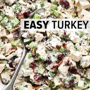 TURKEY SALAD | The Best Use of Turkey Leftovers!