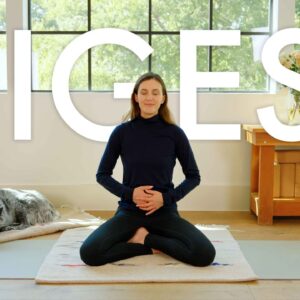 Bija Practice | Digestion