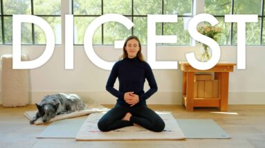 Bija Practice | Digestion