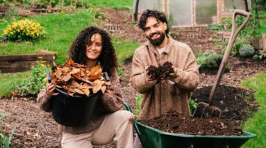 Smart Gardeners Don’t Buy Soil - They Do THIS Instead! 👨‍🌾 👩‍🌾