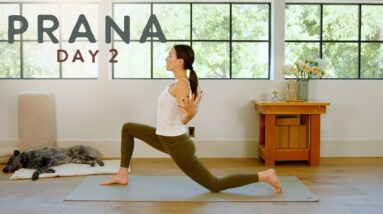 Prana - Day 02