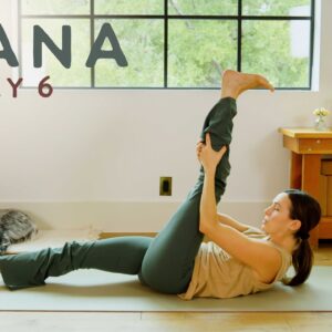 Prana - Day 6