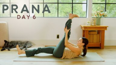 Prana - Day 6