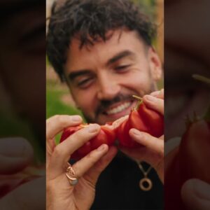 I Can’t Believe I’ve Written This Book! Order Plant to Plate now ❤️🌿 thank you, Gaz #shorts