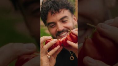 I Can’t Believe I’ve Written This Book! Order Plant to Plate now ❤️🌿 thank you, Gaz #shorts