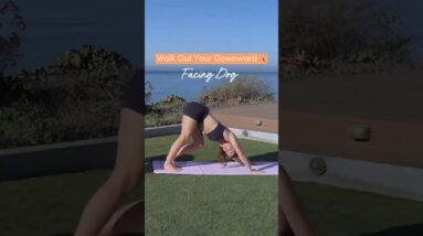 Walk Out Your Downward Facing Dog 🐶🤸‍♀️✨  #toneitup #YogaFlow #YogaTutorial