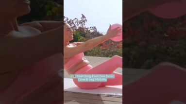 🦵🧘‍♀️ Stretching Exercises Flow! Core & Leg Mobility