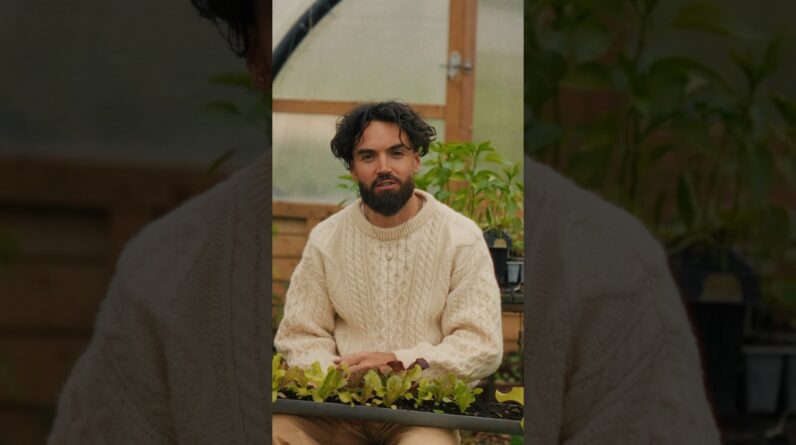 grow food in trash! THE BIG SALAD CORPORATION doesn’t want you to know this 🤯 #shorts