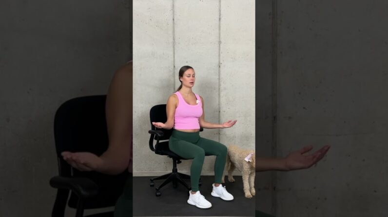 Desk Stretches and Realignment Exercises
