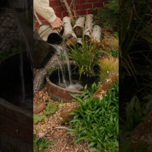 TINY POND HACK🌿 want a pond but have a small space, make a whiskey barrel pond! #shorts