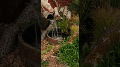 TINY POND HACK🌿 want a pond but have a small space, make a whiskey barrel pond! #shorts