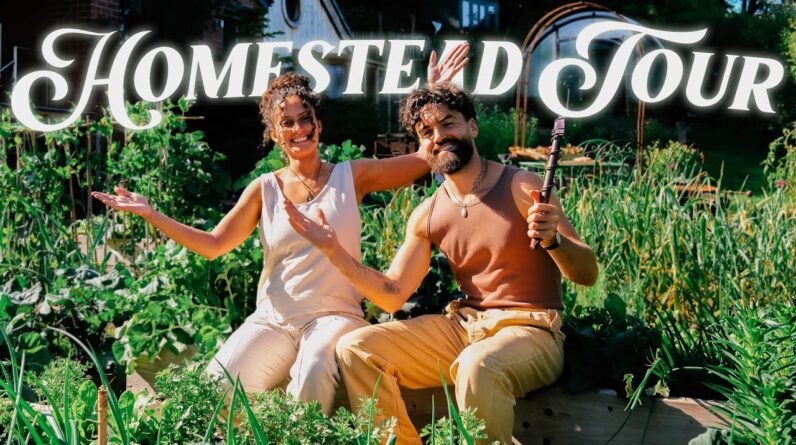 Our Homestead Tour🌿 Natural Living, Coming To USA & More