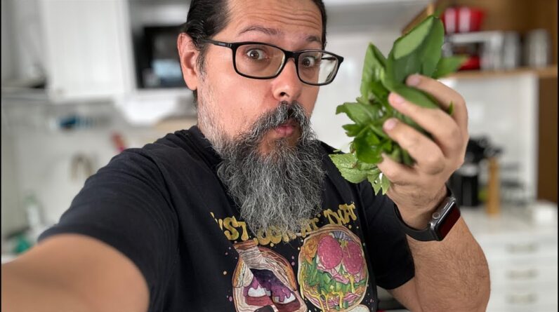 Let’s cook KETO again! Pork with Roselle Leaves 🍃