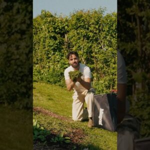 FREE PLANT FERTILISER!! Don’t miss out of this incredible natural resource 🌿 #shorts