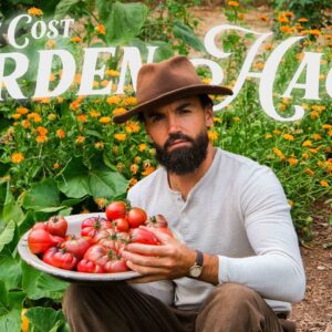 11 Clever & EASY FREE Gardening Hacks