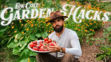 11 Clever & EASY FREE Gardening Hacks