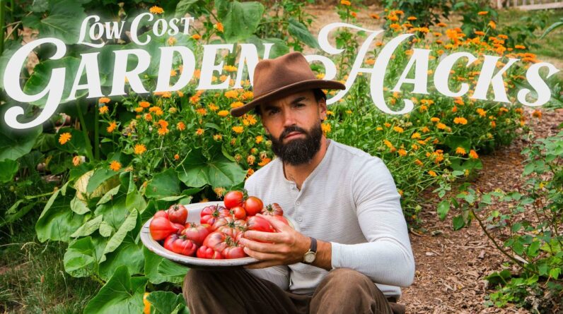 11 Clever & EASY FREE Gardening Hacks