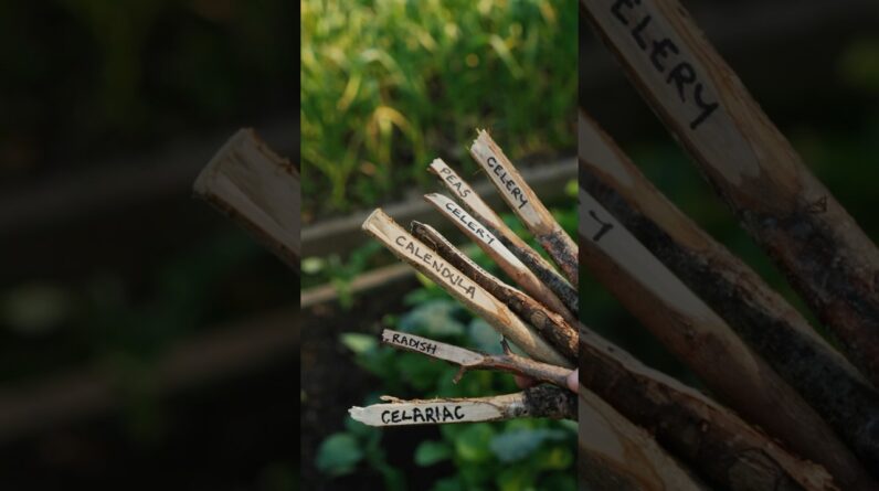 Free Garden Plant Labels!!! 🌿 #shorts