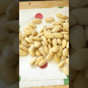 Is almond flour too expensive  Here is how you can make it at home