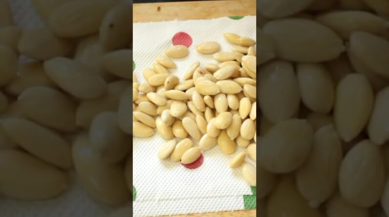 Is almond flour too expensive  Here is how you can make it at home
