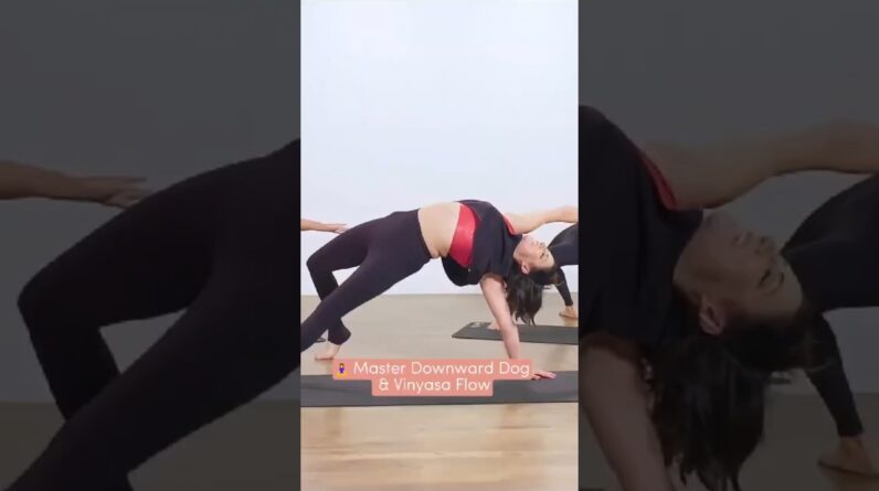 🧘‍♀️ Master Downward Dog & Vinyasa Flow: Full Body Stretching Exercises ✨
