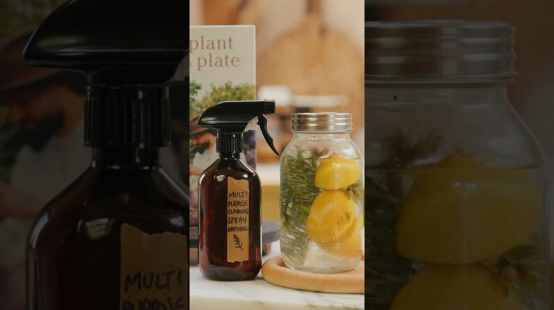 NO MORE HARSH CHEMICALS IN YOUR HOME! make this zero waste kitchen spray instead! 🌿 #shorts
